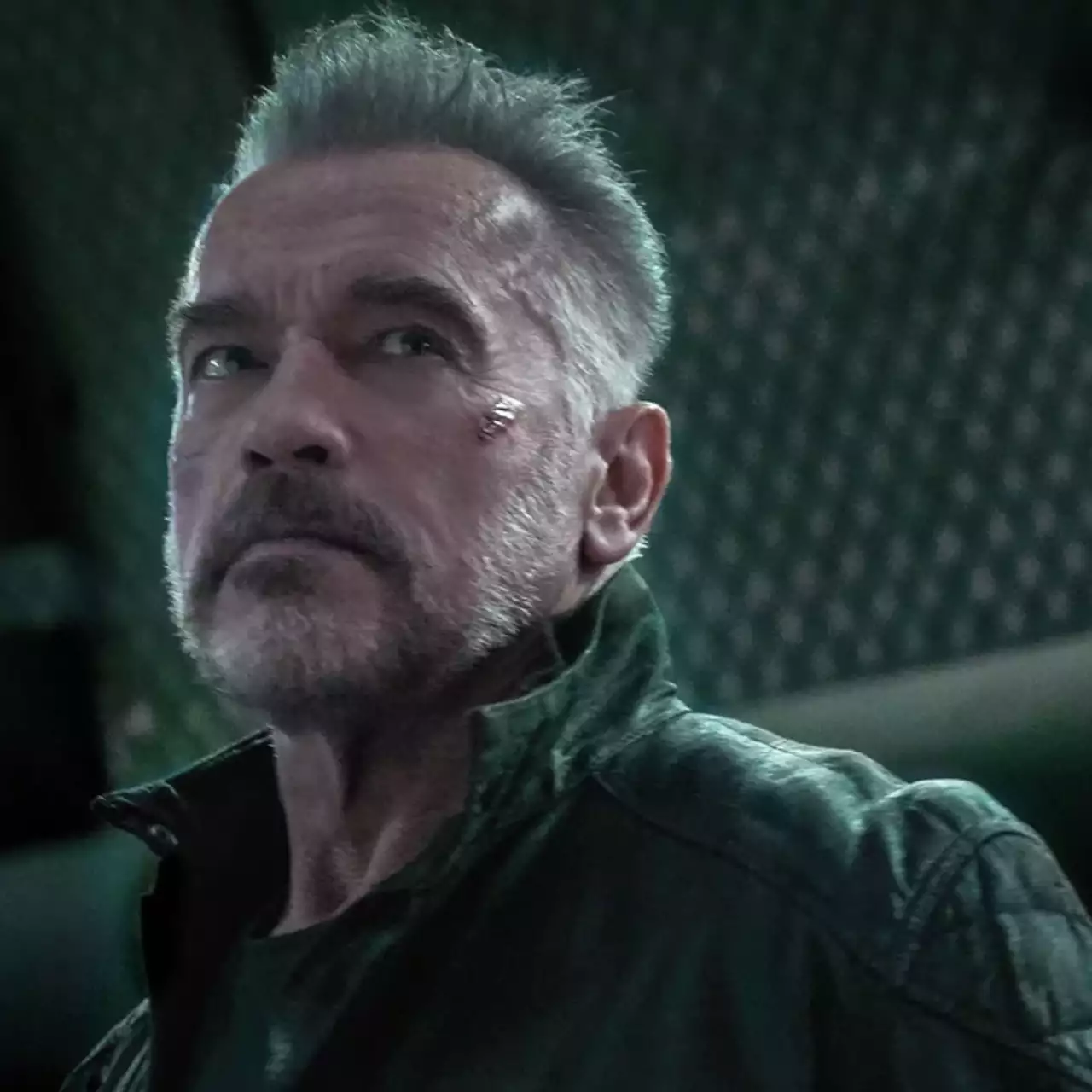 Кэмерон закрывает эпоху: Шварценеггера больше не будет в новых «Терминаторах»