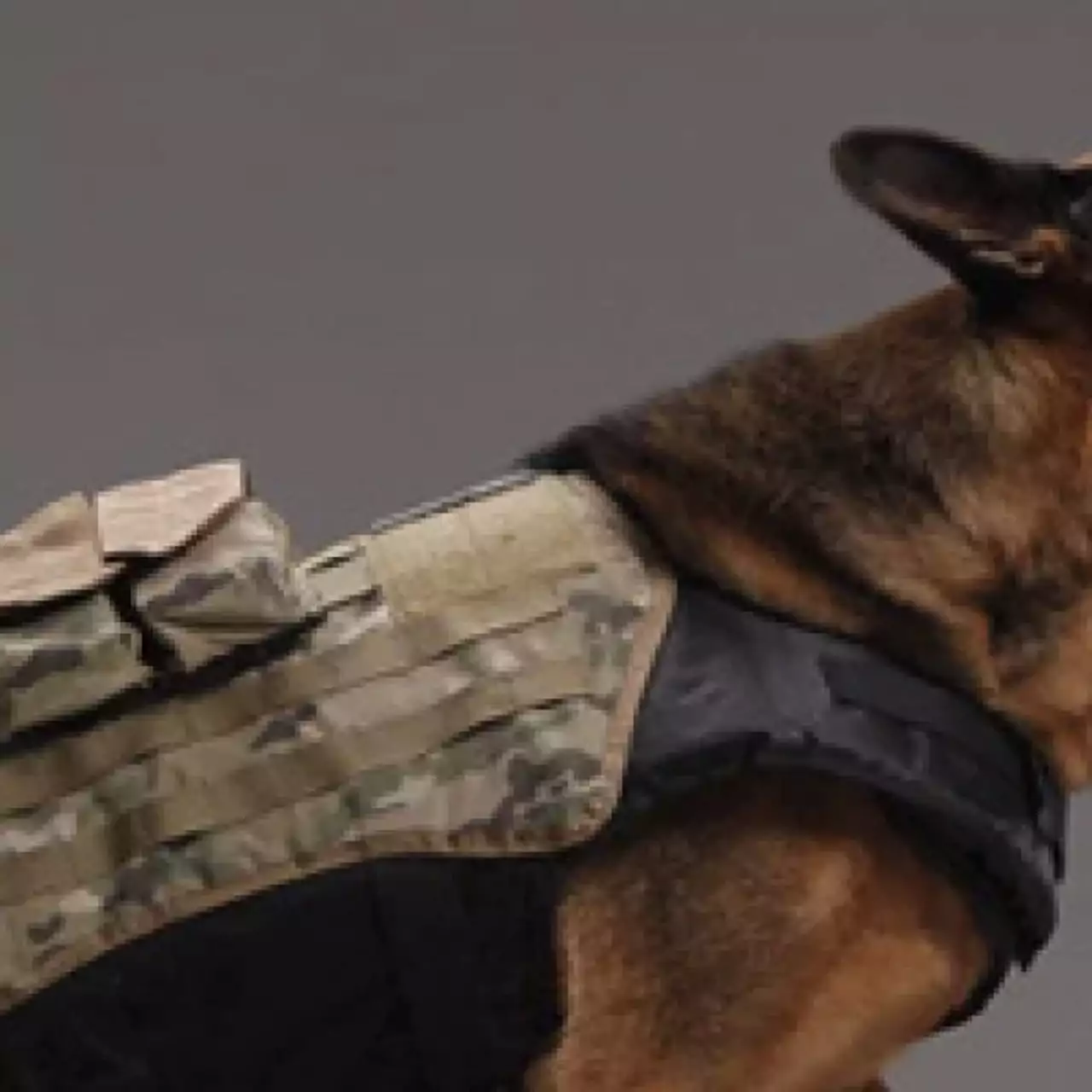 Activision не планирует понижать аппетиты Call of Duty: Ghosts к ОЗУ в ближайшем будущем