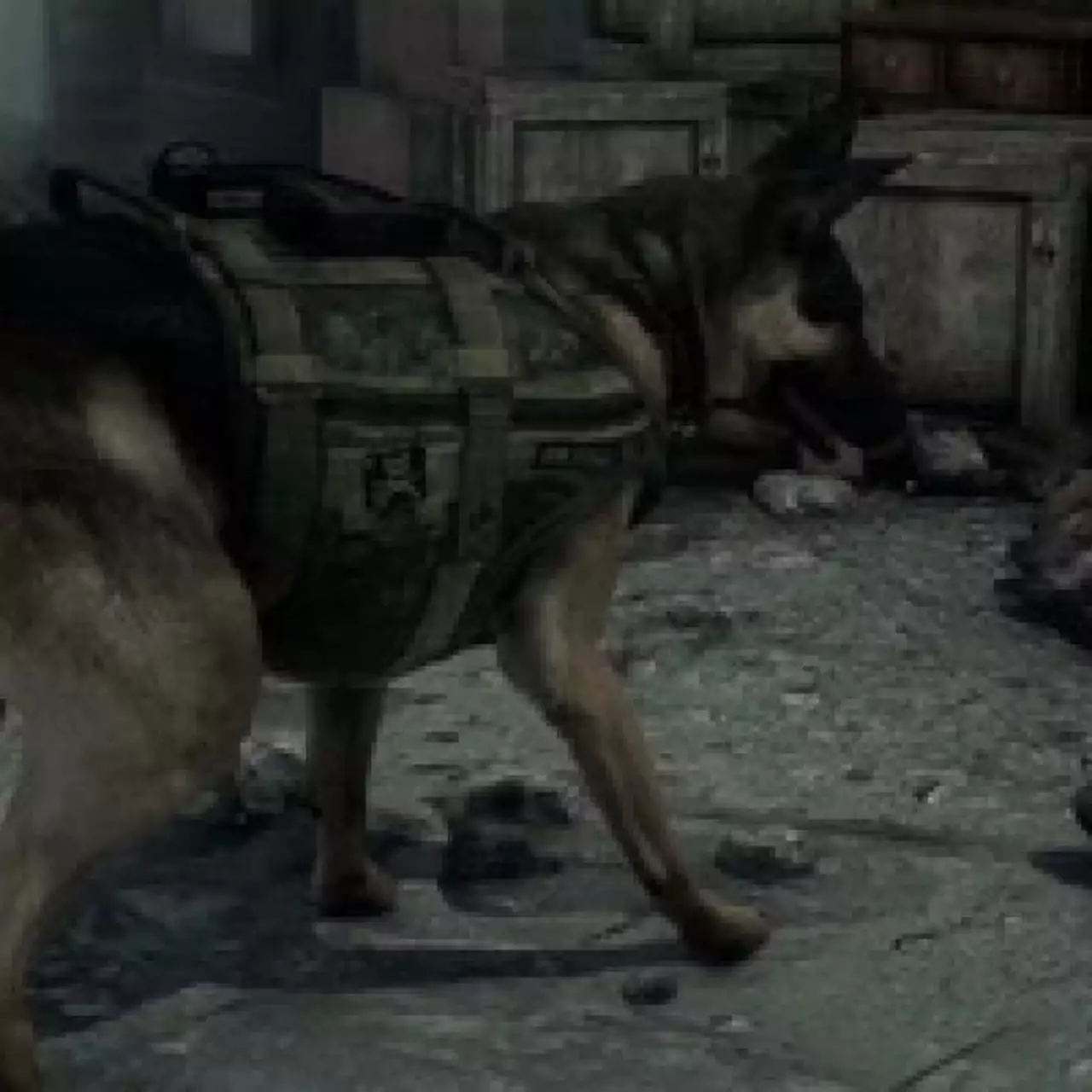 В Call of Duty: Ghosts появилась продвинутая симуляция шерсти