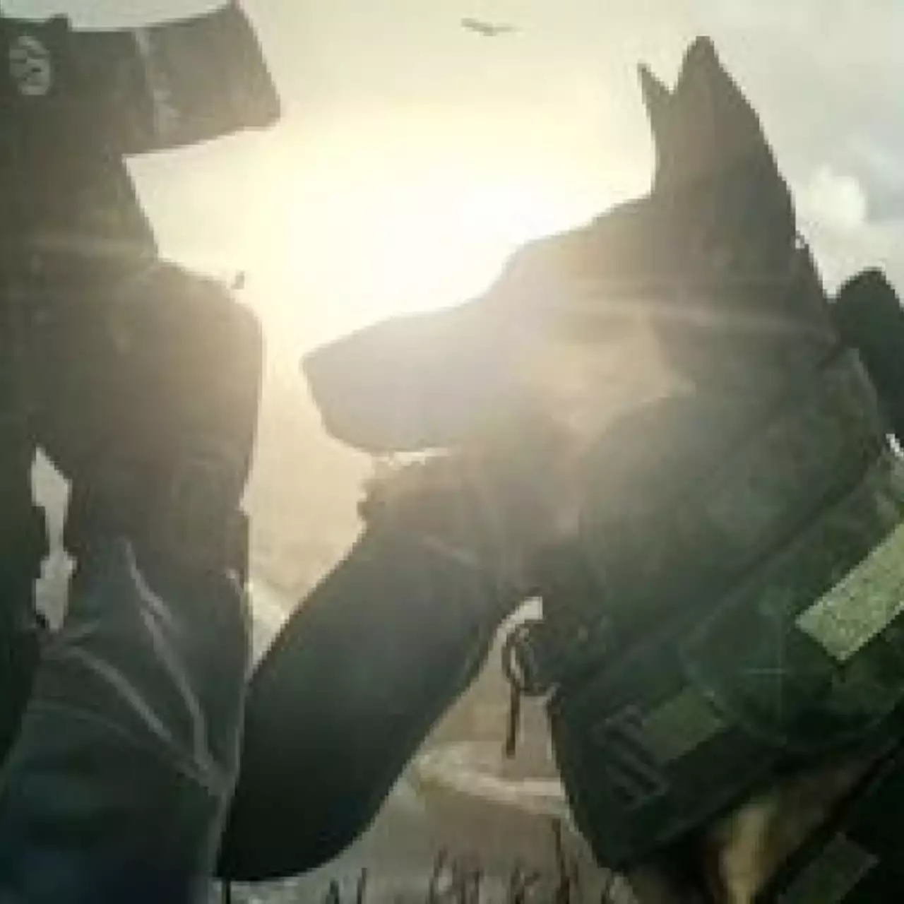 Следующее дополнение для Call of Duty: Ghosts превратит собаку в волка
