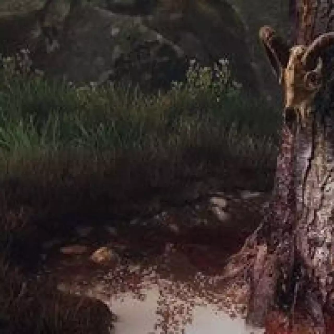 Авторы Vanishing of Ethan Carter поделились впечатляющими GIF-анимациями из игры Авторы Vanishing of Ethan Carter поделились впечатляющими GIF-анимациями из игры