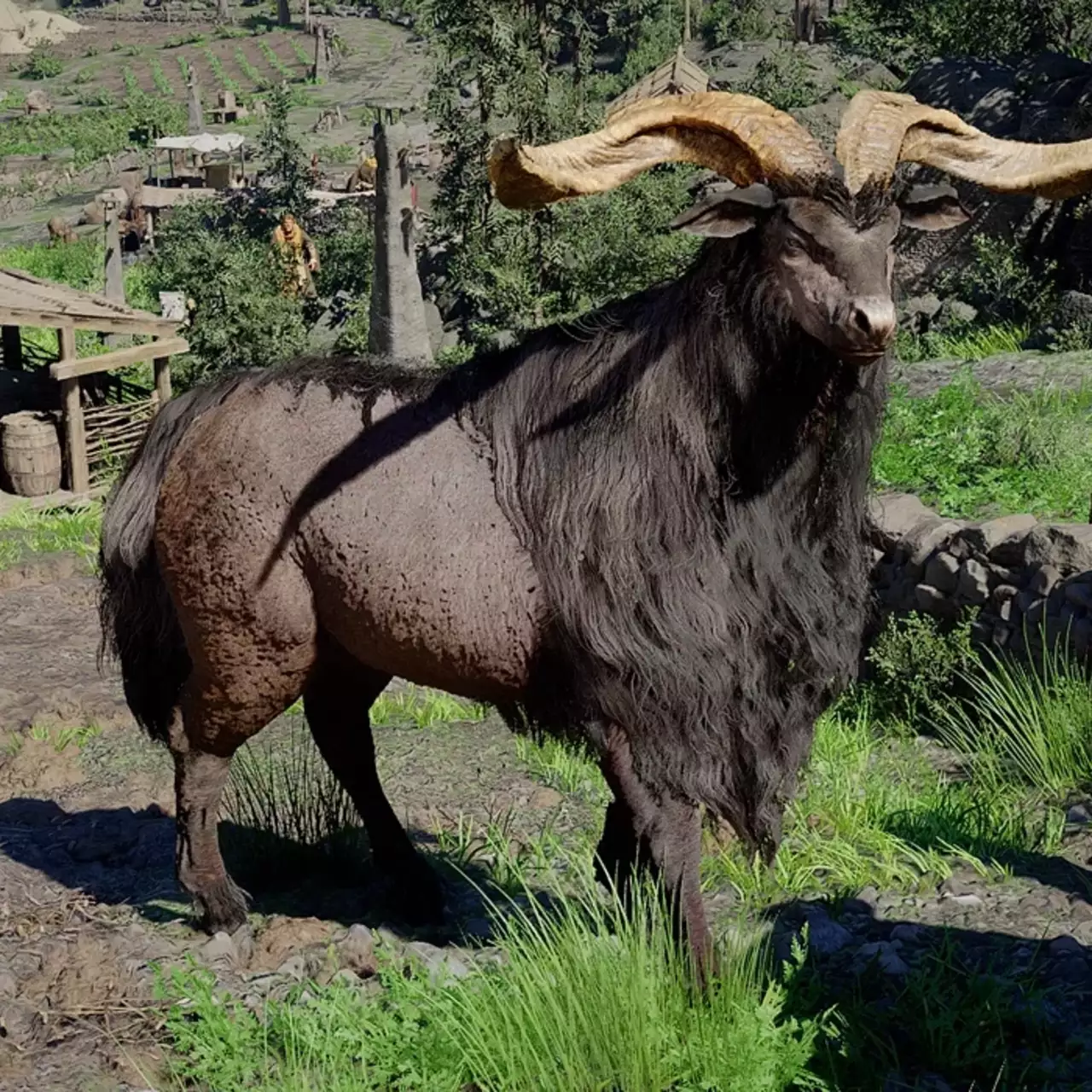 Как открыть сейфы в Западном и Южном судах в Crimson Desert