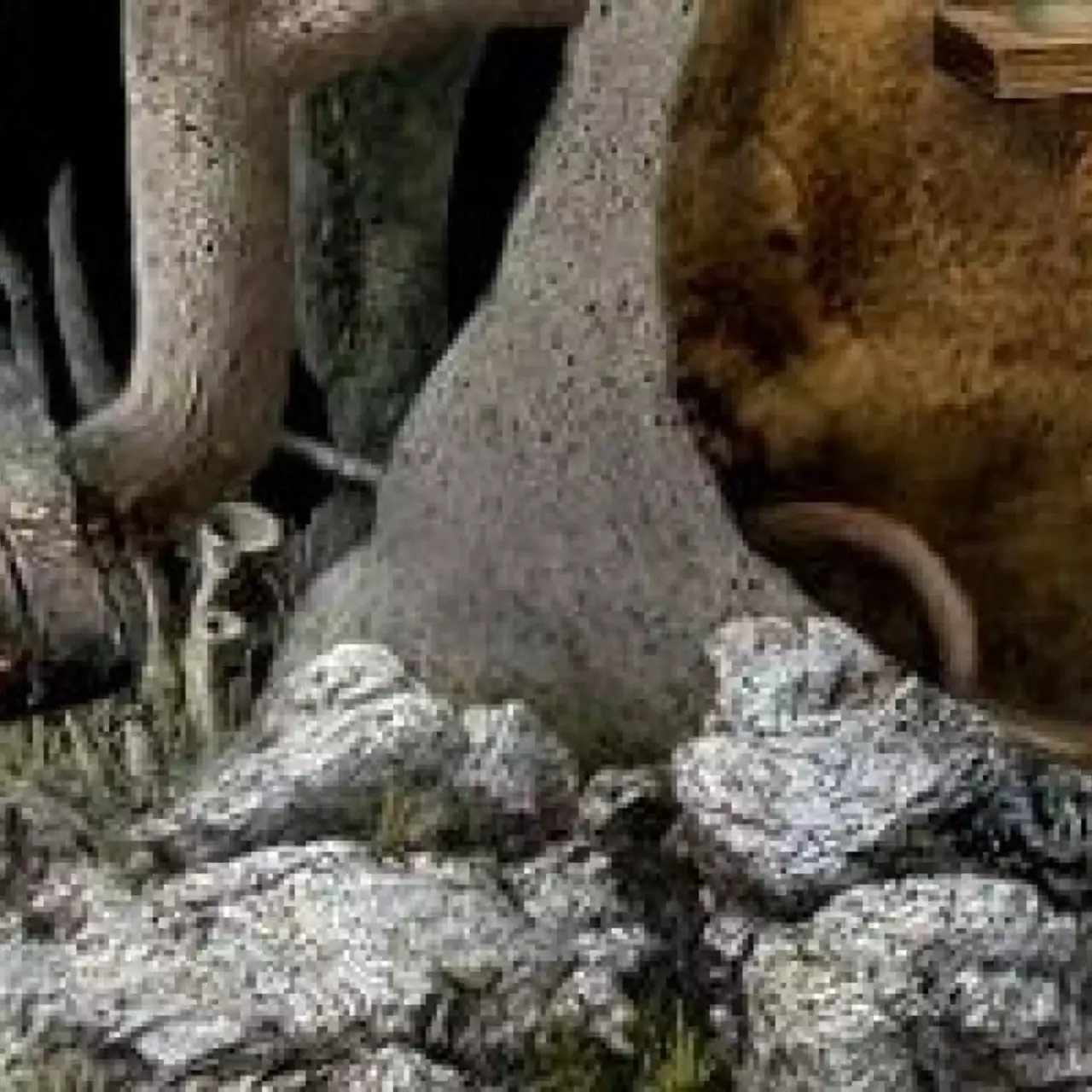 Коды на Samorost 2