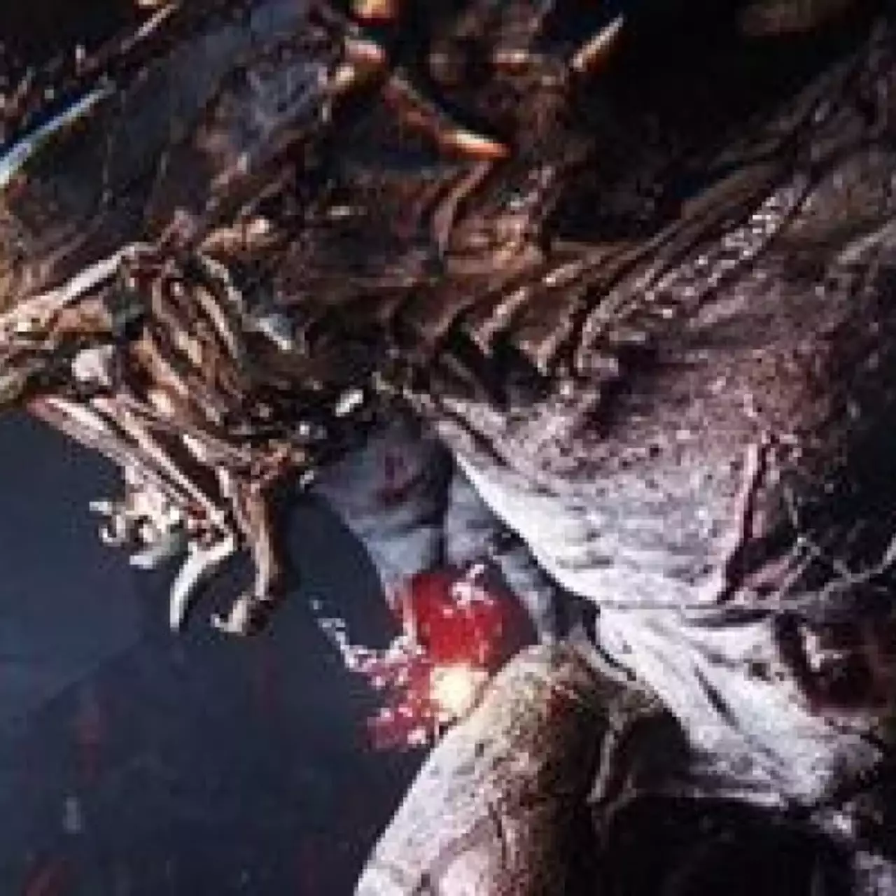 Авторы Evolve пояснили, почему четырёх персонажей будет более чем достаточно Авторы Evolve пояснили, почему четырёх персонажей будет более чем достаточно