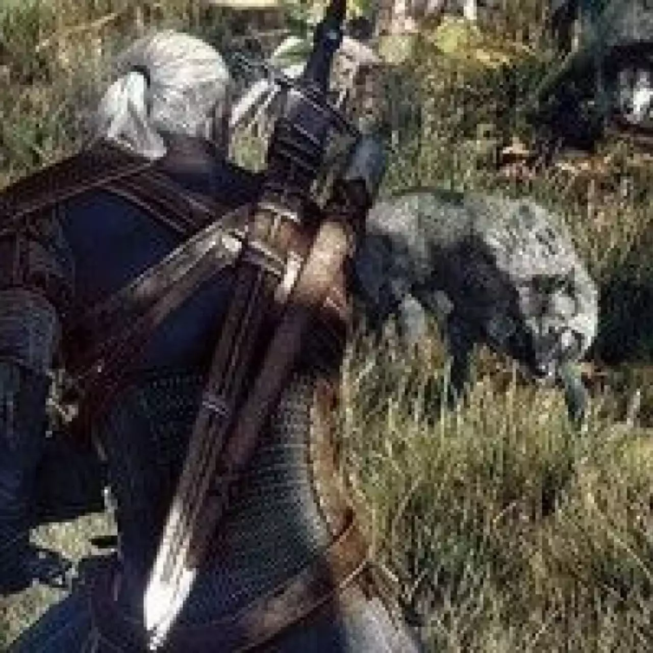 Появились новые скриншоты Witcher 3
