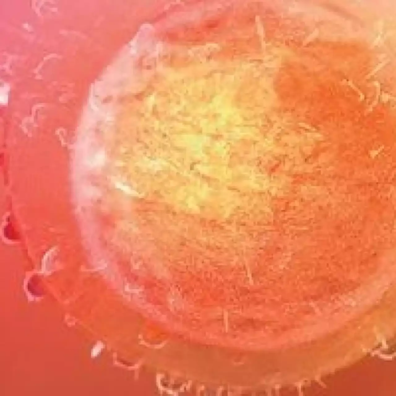 Игра от Cancer Research поможет быстрее найти лекарство от рака