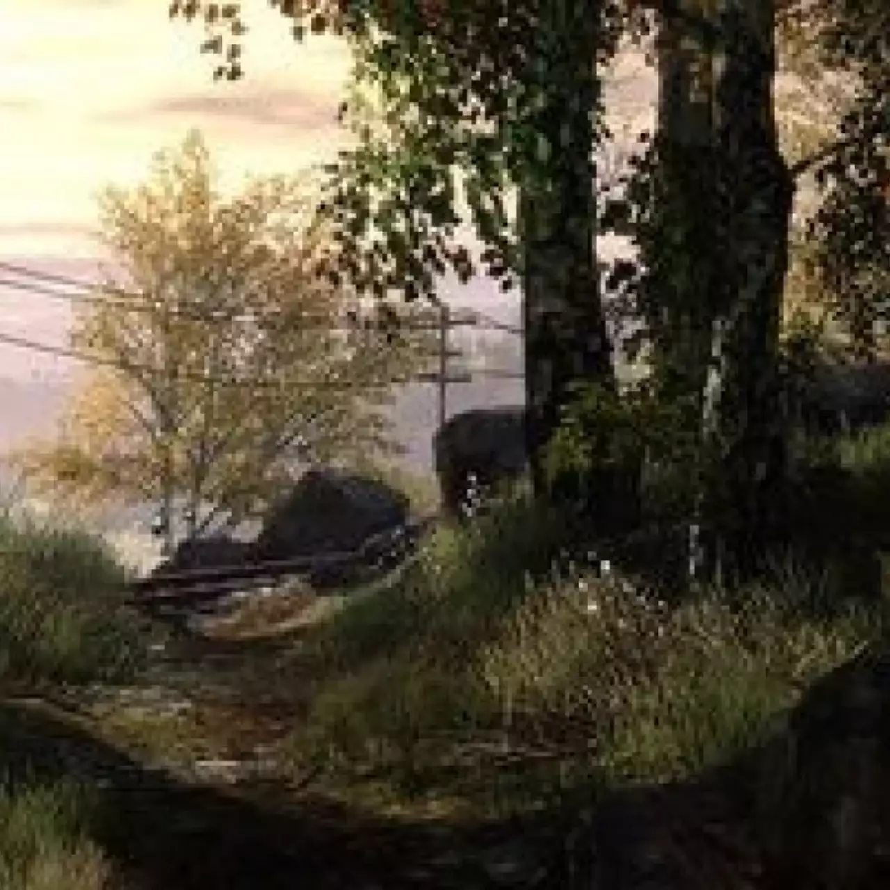 Новые видео Vanishing of Ethan Carter показали систему растительности в игре Новые видео Vanishing of Ethan Carter показали систему растительности в игре