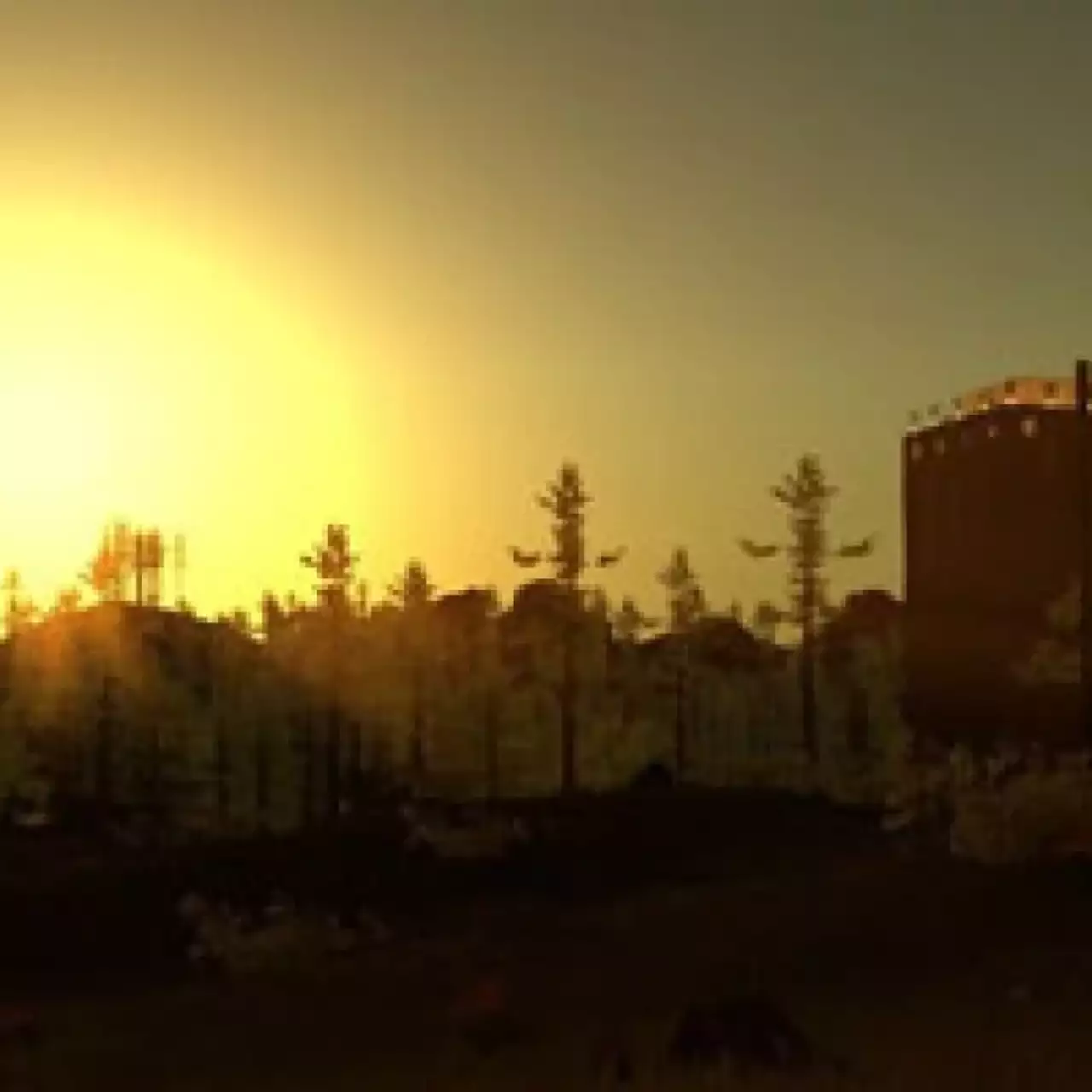 FAQ по Rust: что с серверами? Есть ли в игре крафт? Почему убрали зомби? Как открыть консоль?