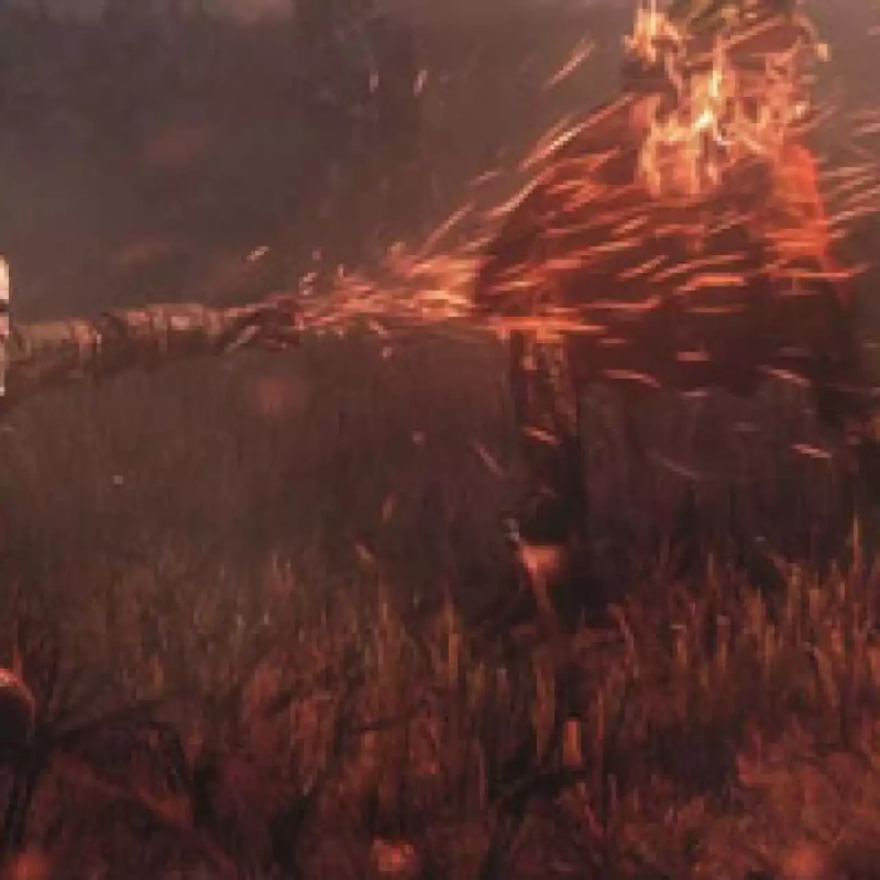 В The Witcher 3: Wild Hunt будет 12 000 анимаций