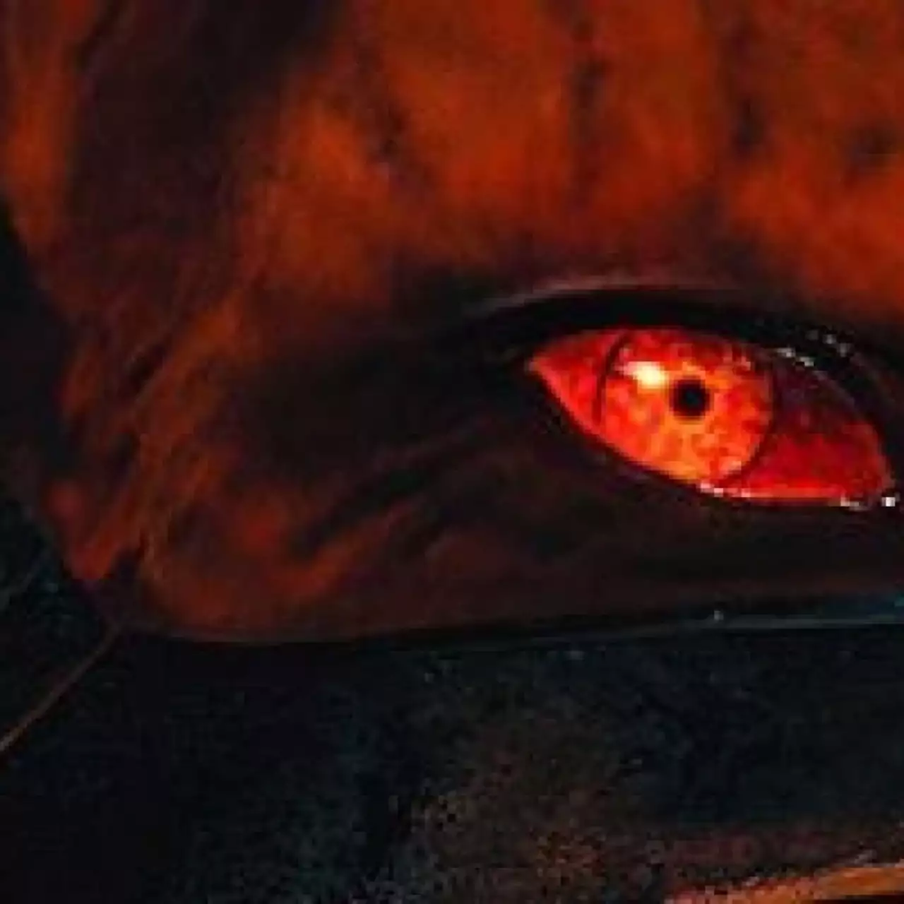 Doom 4 отменили из-за критики в адрес RAGE?