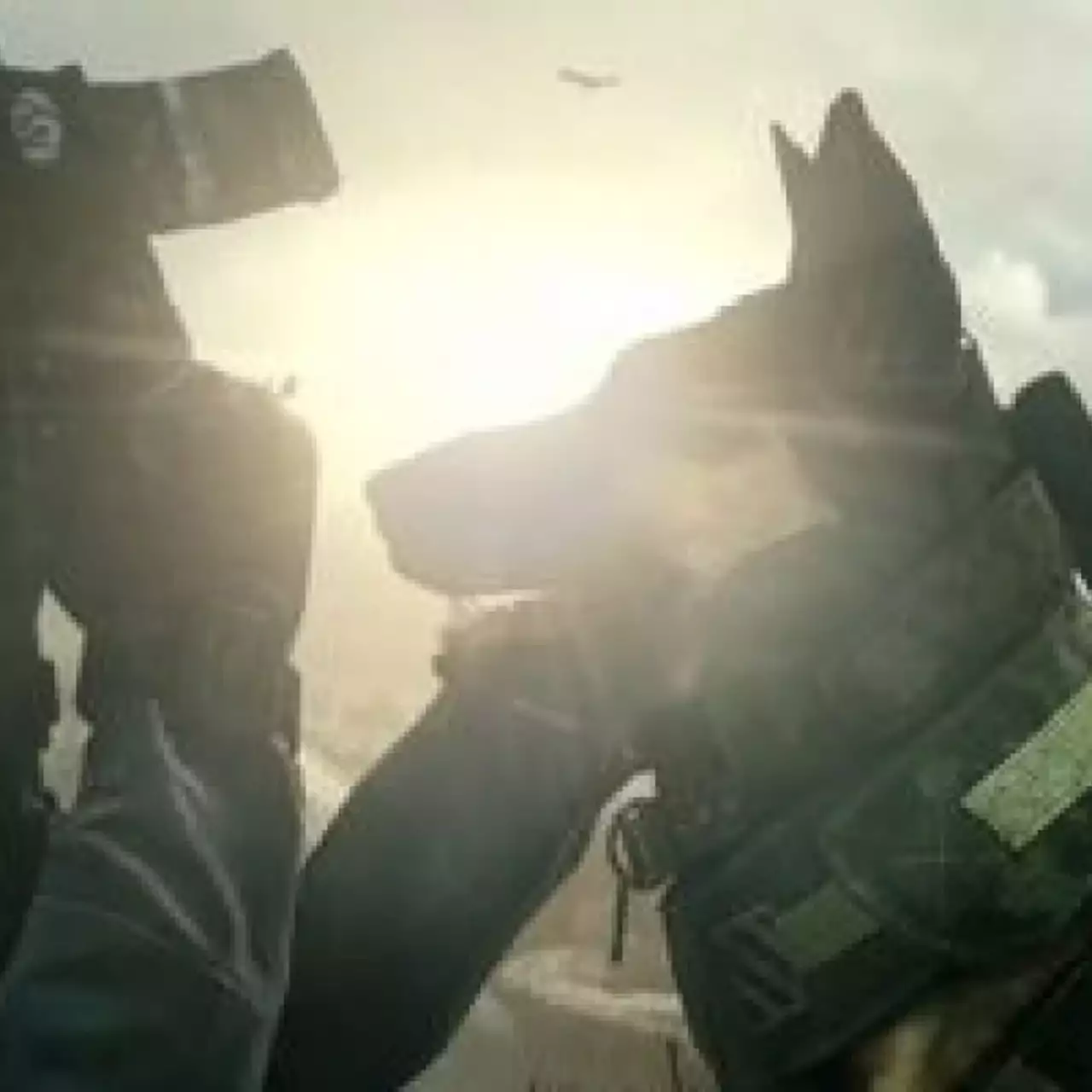 Бесплатные выходные в Steam с Call of Duty: Ghosts