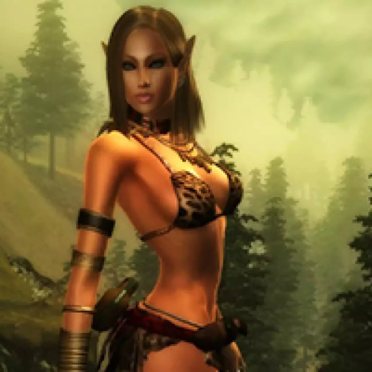 Oblivion воссоздают на движке Skyrim