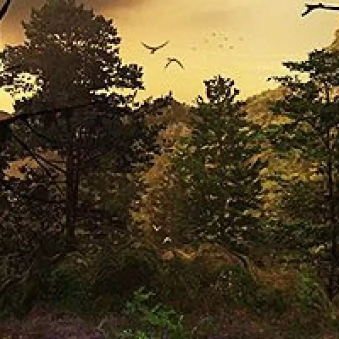 Геймплей AREAL: Origins покажут в конце лета Геймплей AREAL: Origins покажут в конце лета