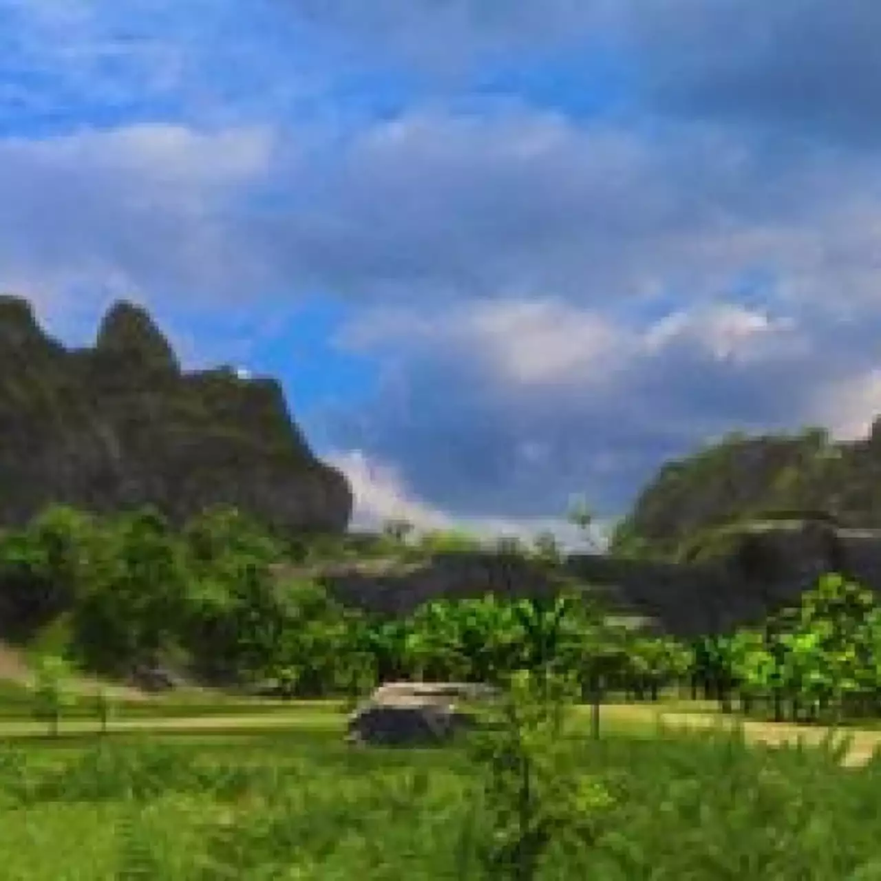 Оценки Tropico 5 — немного нового Оценки Tropico 5 — немного нового