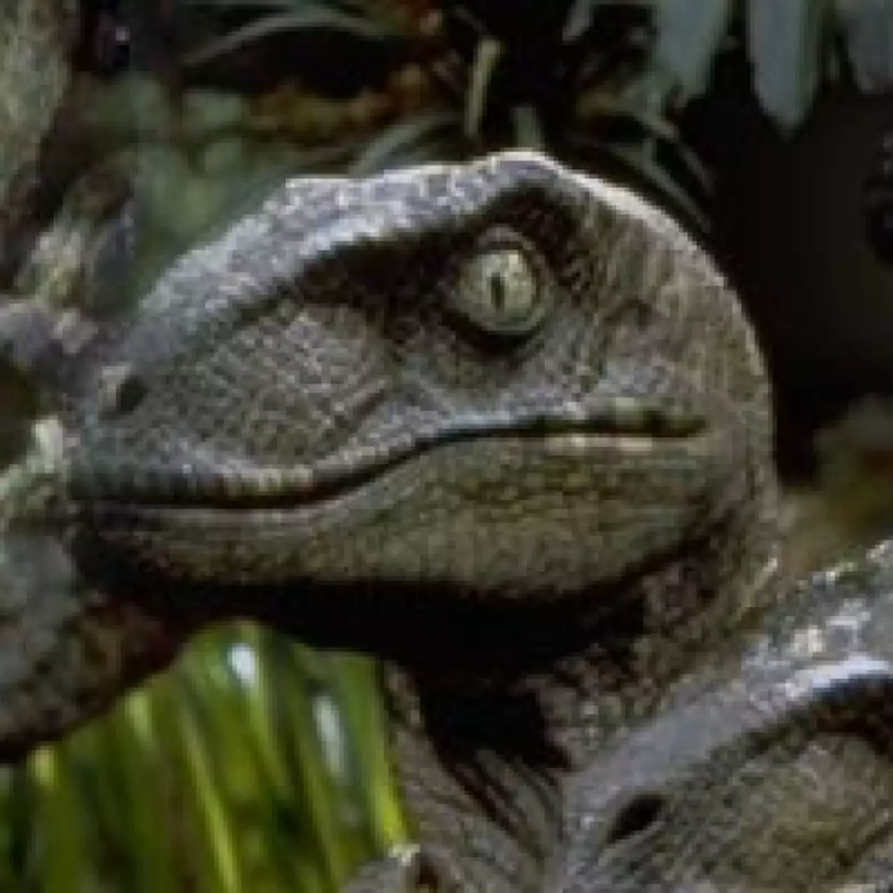 Релиз Jurassic Park: The Game отложен в Европе для Xbox 360 Релиз Jurassic Park: The Game отложен в Европе для Xbox 360