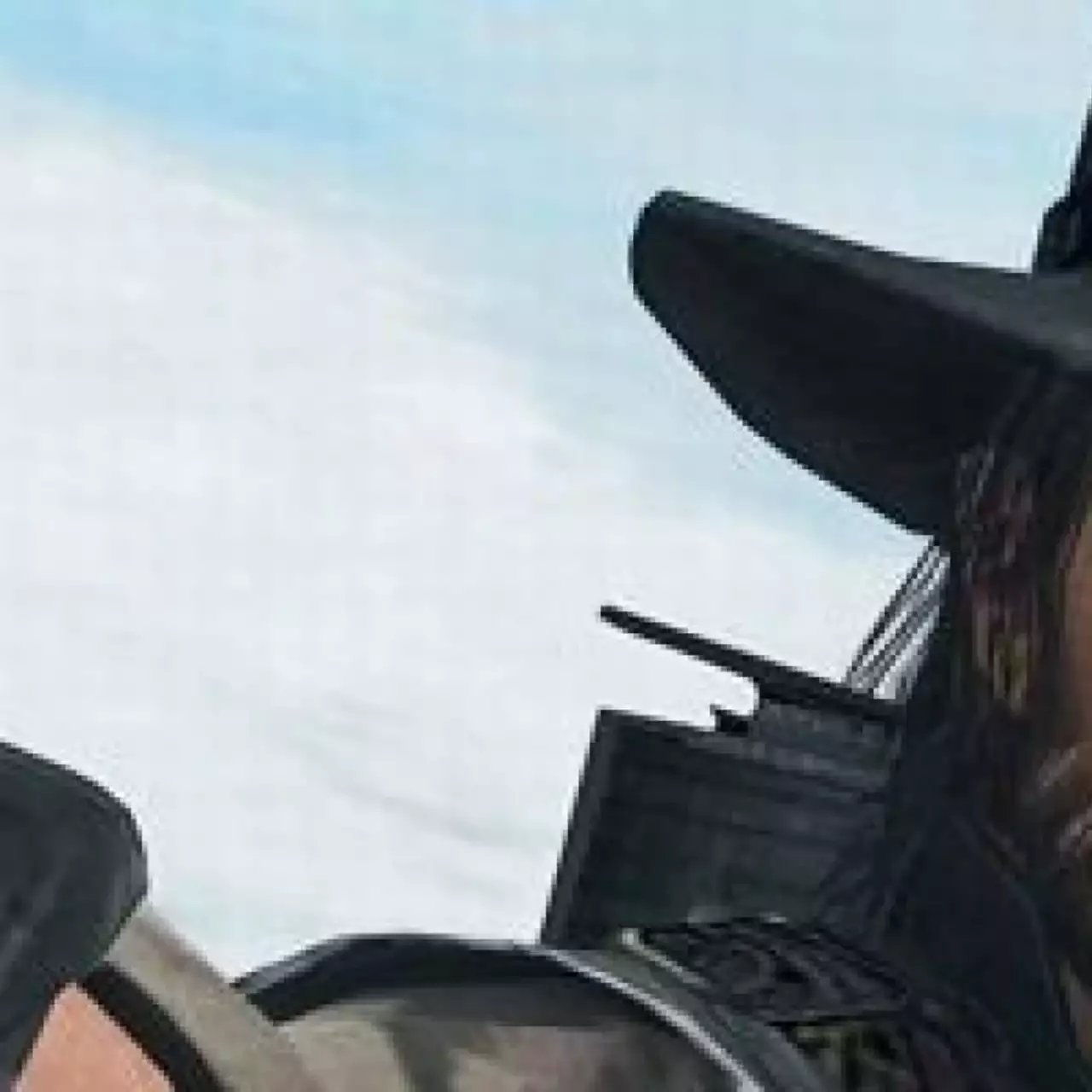 Глава Take-Two намекнул на продолжение серии Red Dead Глава Take-Two намекнул на продолжение серии Red Dead