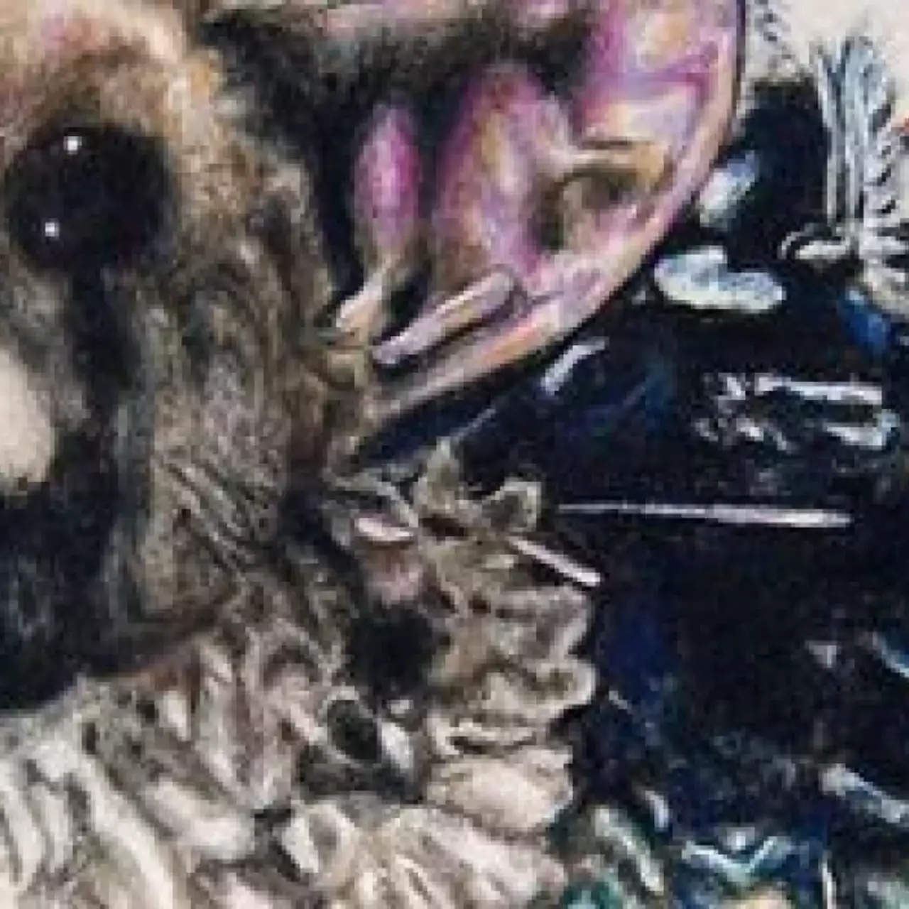 The Last Guardian отменена The Last Guardian отменена