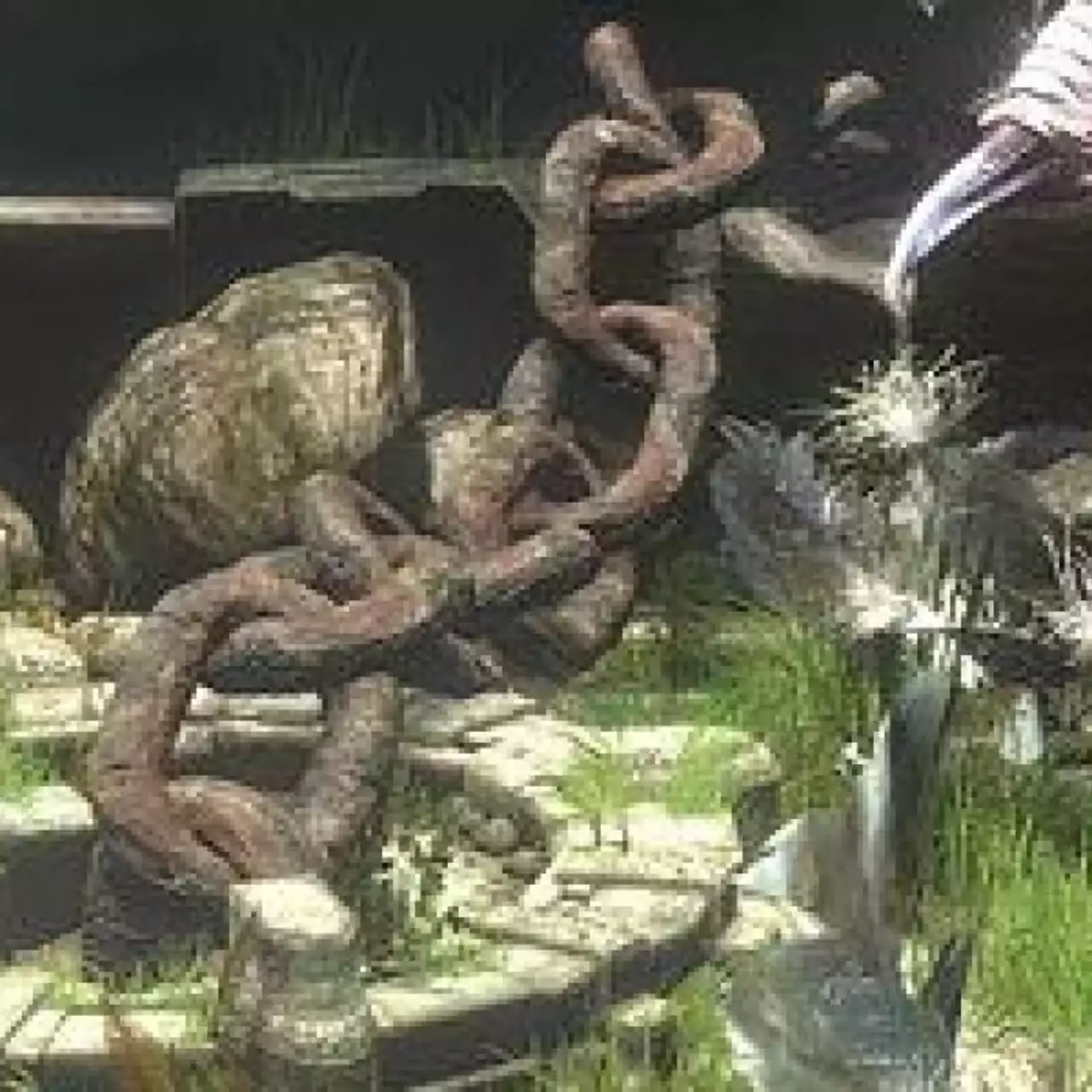 Sony: «Если мы отменим Last Guardian, мы сообщим об этом»