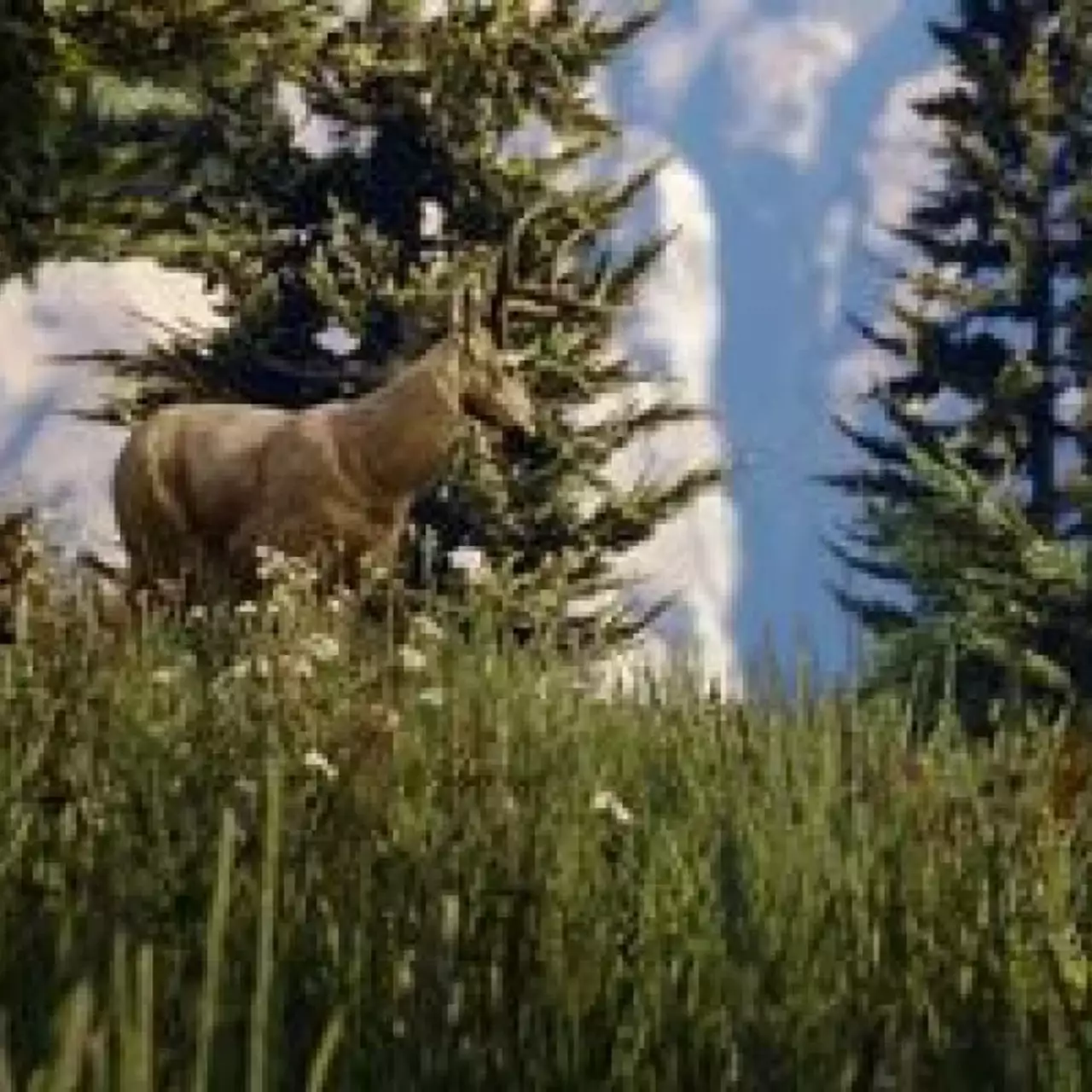 Версии GTA 5 для PS3 и PS4 сравнили на видео