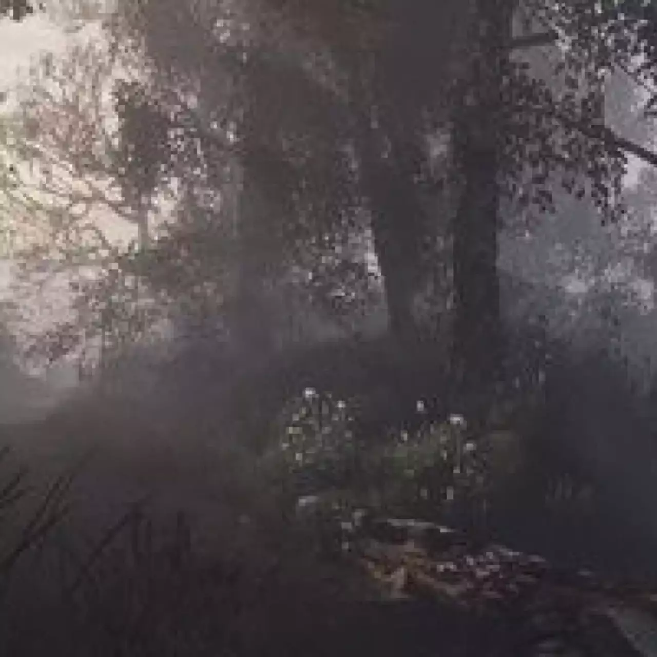 Vanishing of Ethan Carter появится в коробочном издании Vanishing of Ethan Carter появится в коробочном издании