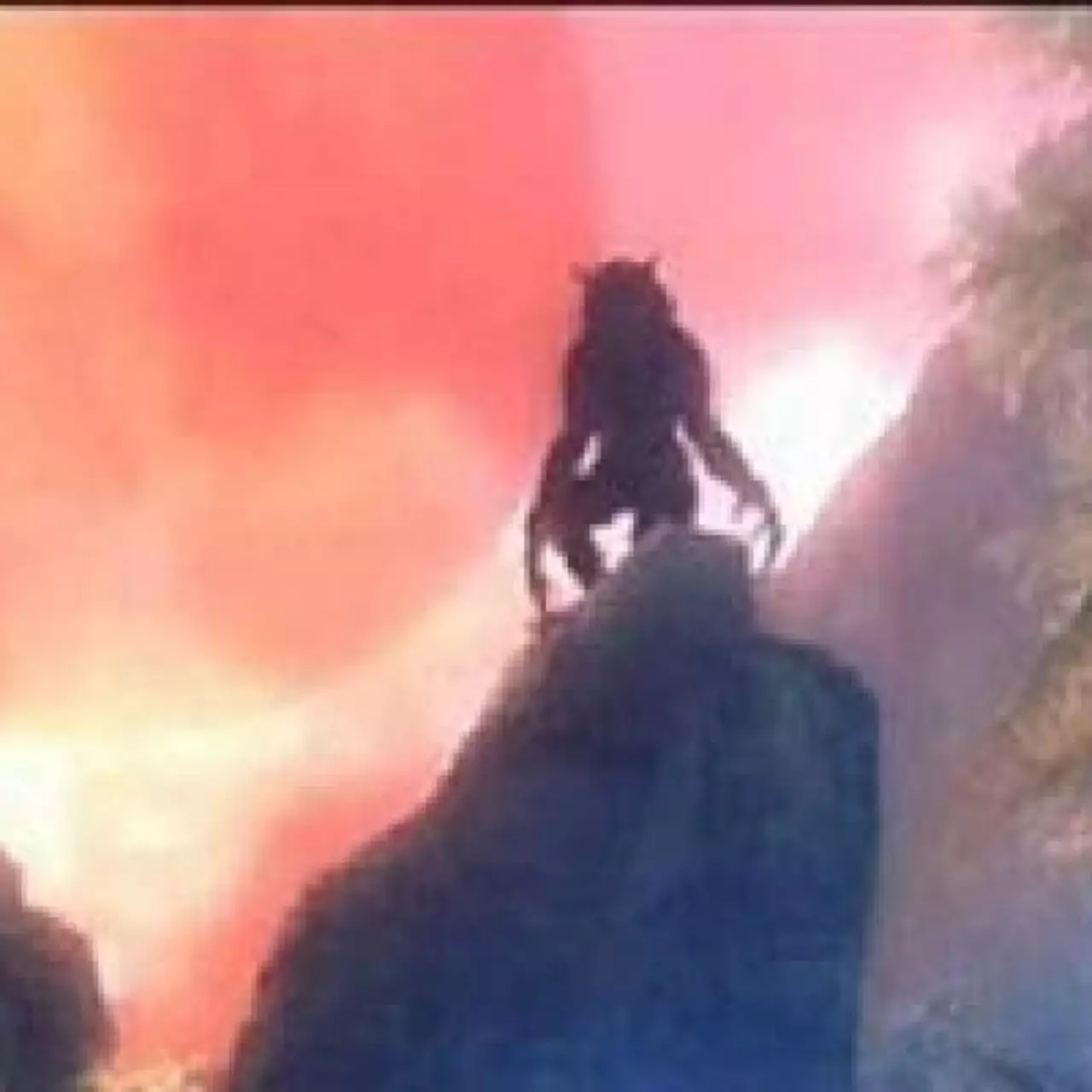 В Skyrim появятся оборотни?