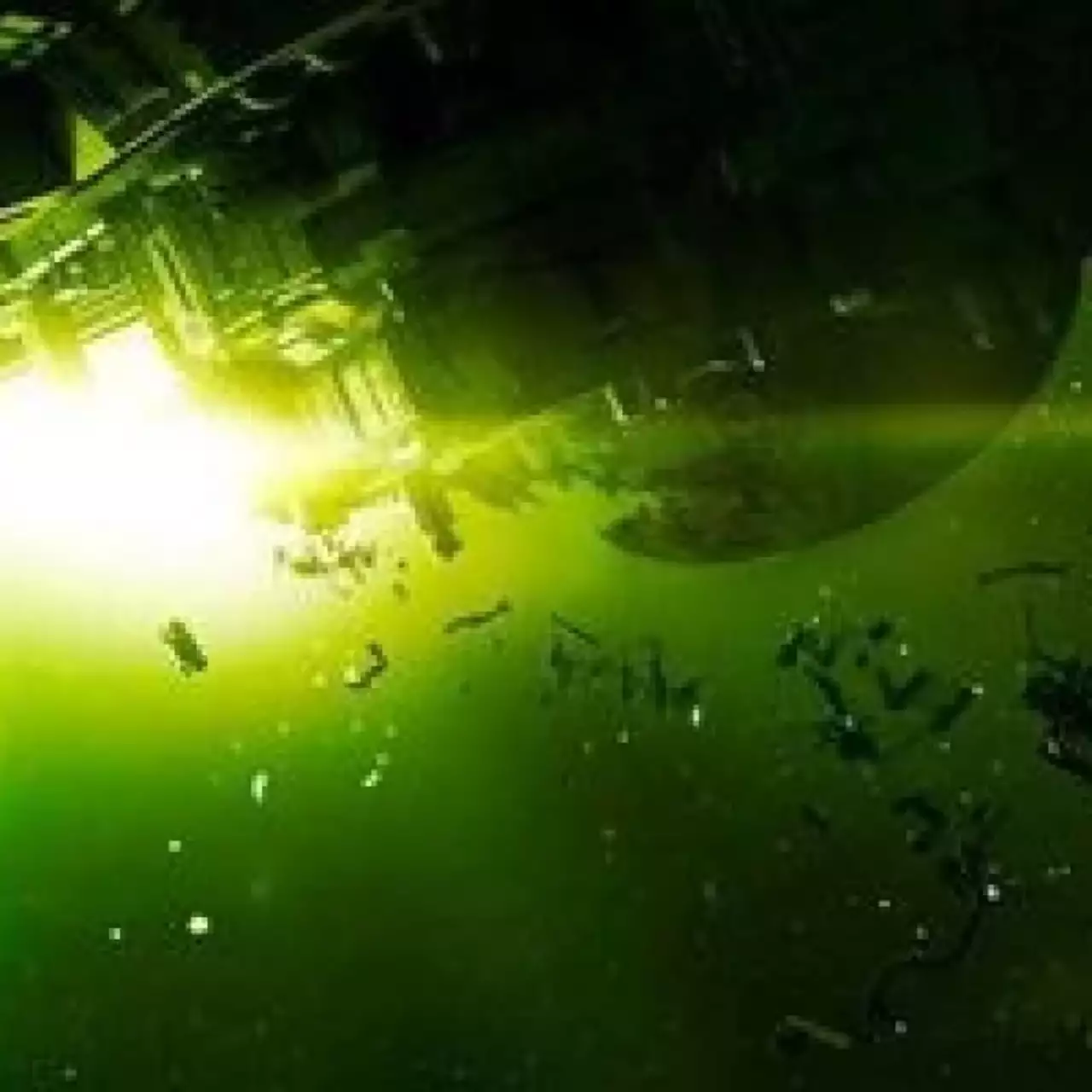 Разработчики Alien: Isolation пообещали большие новости по игре Разработчики Alien: Isolation пообещали большие новости по игре