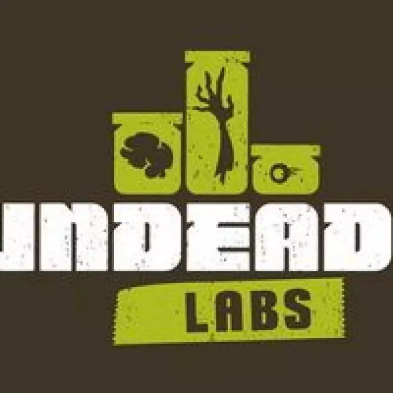 Новую игру от авторов State of Decay покажут на следующей неделе