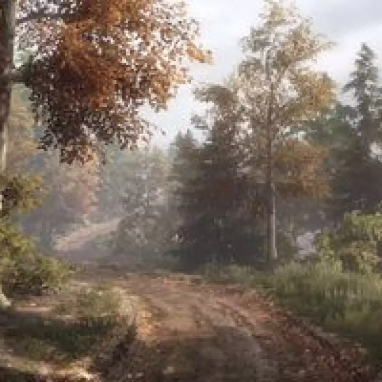 Новые скриншоты Vanishing of Ethan Carter показали невероятно детализированное окружение Новые скриншоты Vanishing of Ethan Carter показали невероятно детализированное окружение