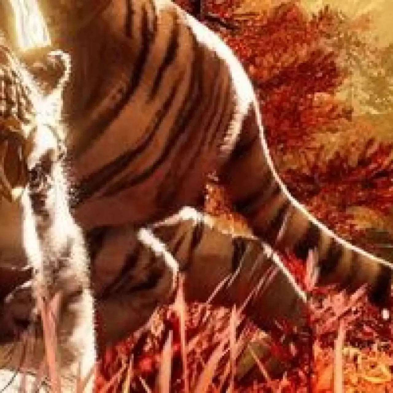 Изумительные скрины AC: Unity и Far Cry 4 с Gamescom уже в сети Изумительные скрины AC: Unity и Far Cry 4 с Gamescom уже в сети