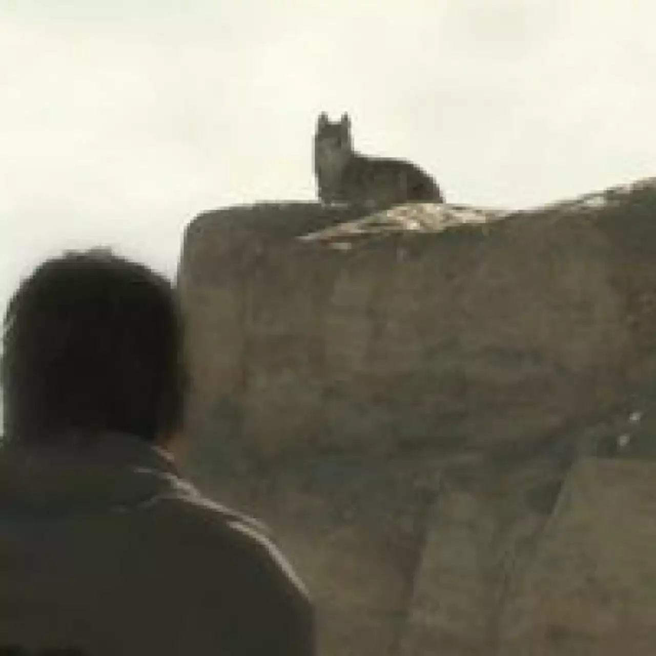 Представлен мультиплеер Metal Gear Solid 5 Представлен мультиплеер Metal Gear Solid 5