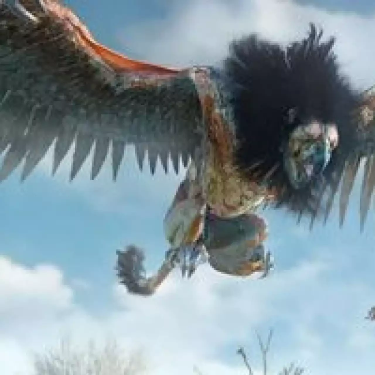 Финальная версия Witcher 3 будет ещё красивее, чем на скриншотах Финальная версия Witcher 3 будет ещё красивее, чем на скриншотах