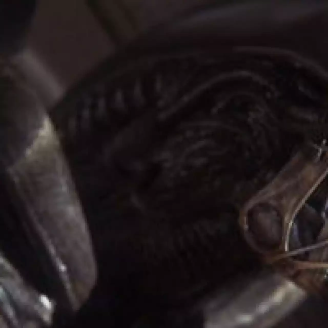 В Alien: Isolation нашли Джеймса Кэмерона В Alien: Isolation нашли Джеймса Кэмерона