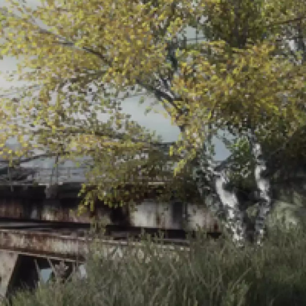 Vanishing of Ethan Carter зависает? Не запускается? Вылетает ошибка? — Решение проблем