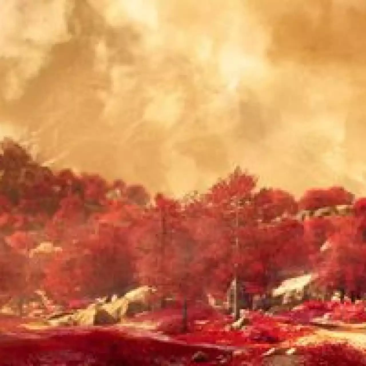 Полное прохождение Far Cry 4 займёт 35 часов Полное прохождение Far Cry 4 займёт 35 часов