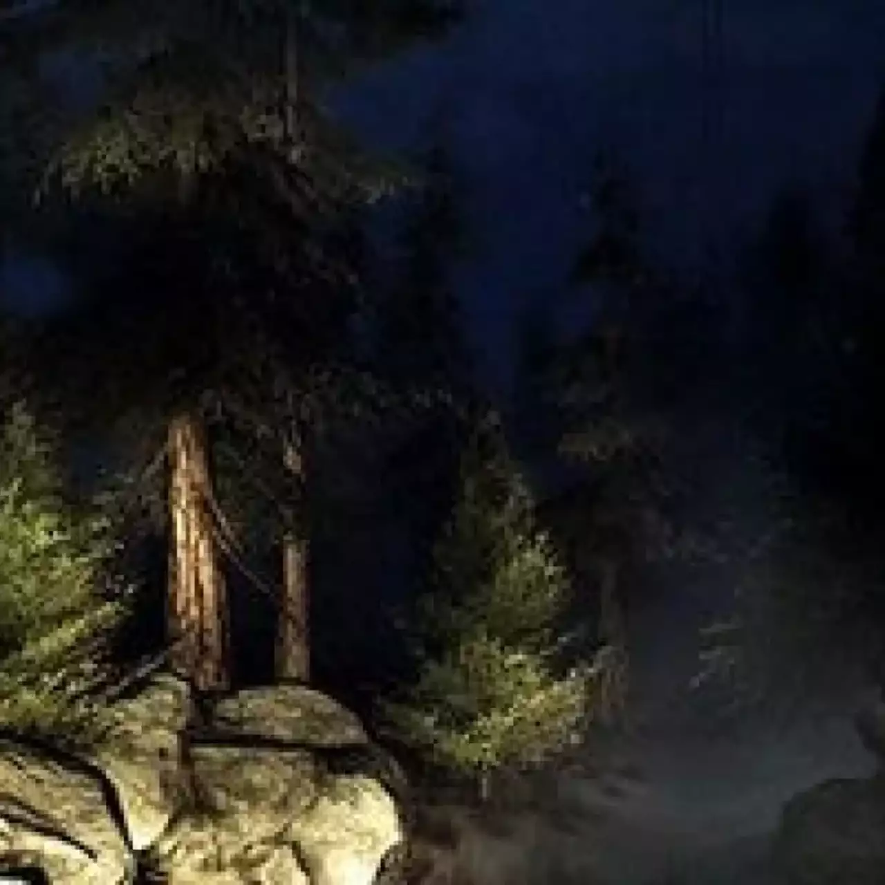 Slender: The Arrival выйдет на Xbox One, PS4 и Wii U Slender: The Arrival выйдет на Xbox One, PS4 и Wii U