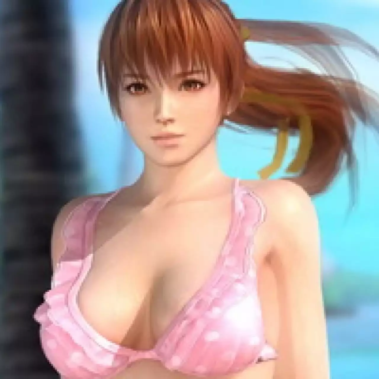Азиатский ретейлер указал Dead or Alive 5: Last Round для PC Азиатский ретейлер указал Dead or Alive 5: Last Round для PC