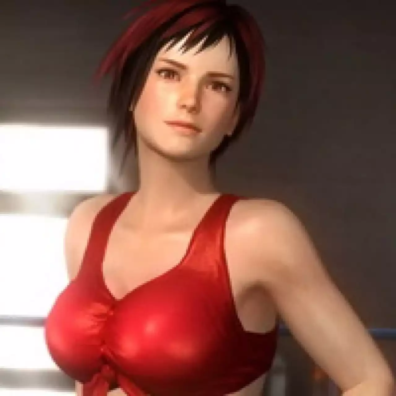 Dead or Alive 5: Last Round для PC появилась на сайте ESRB Dead or Alive 5: Last Round для PC появилась на сайте ESRB