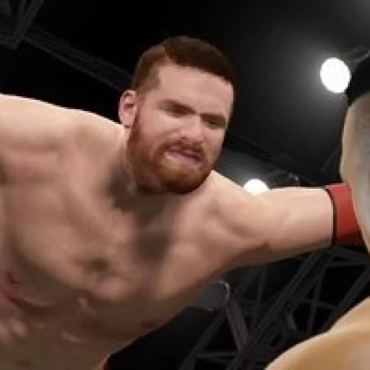 Польский ресурс указал на существование PC-версии WWE 2K15 Польский ресурс указал на существование PC-версии WWE 2K15