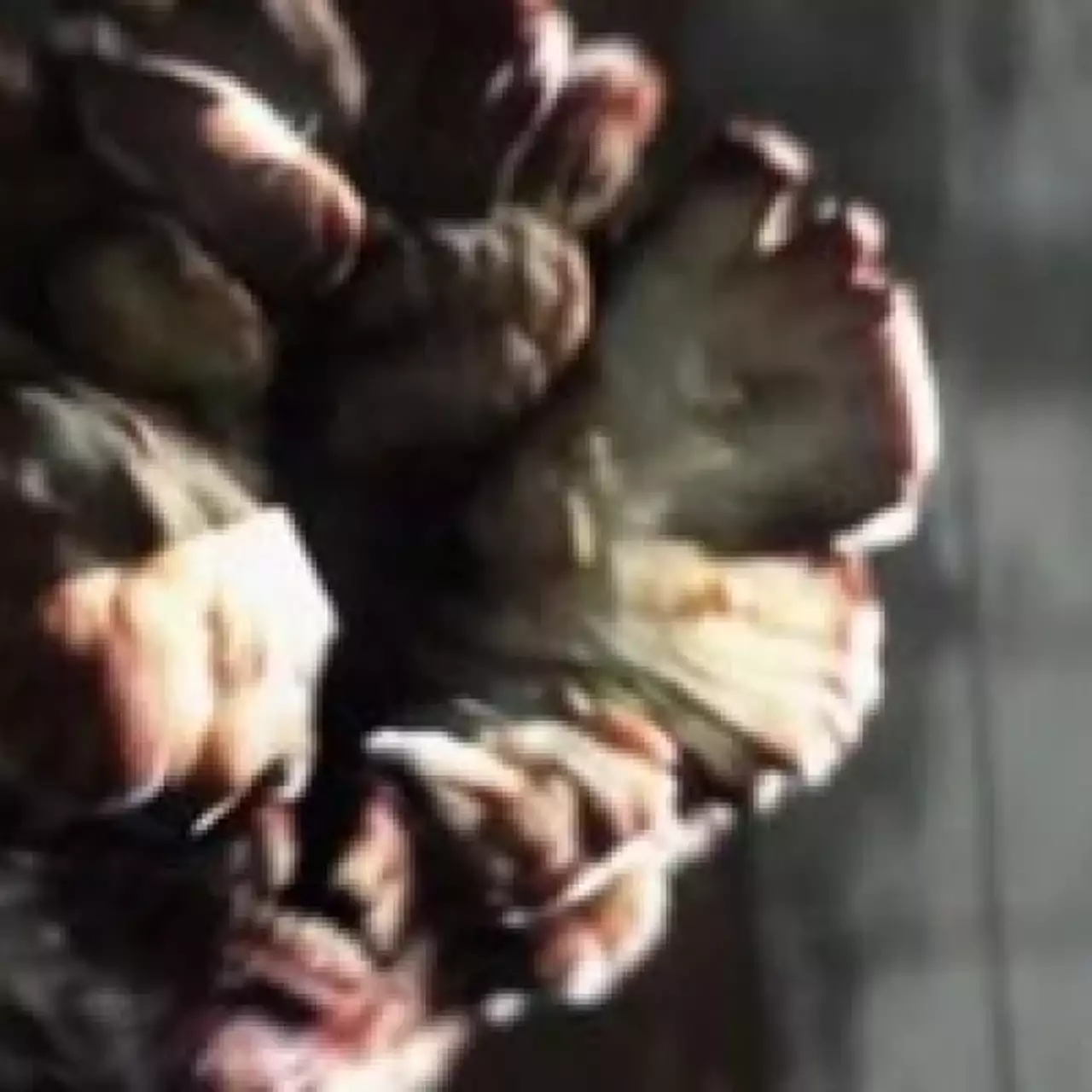 The Last of Us выйдет в конце 2012 - начале 2013 The Last of Us выйдет в конце 2012 - начале 2013