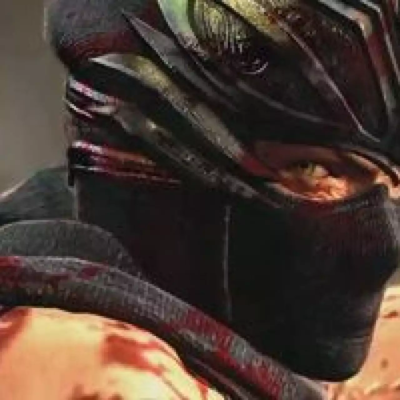 Ninja Gaiden 3 выйдет в Японии 22 марта Ninja Gaiden 3 выйдет в Японии 22 марта