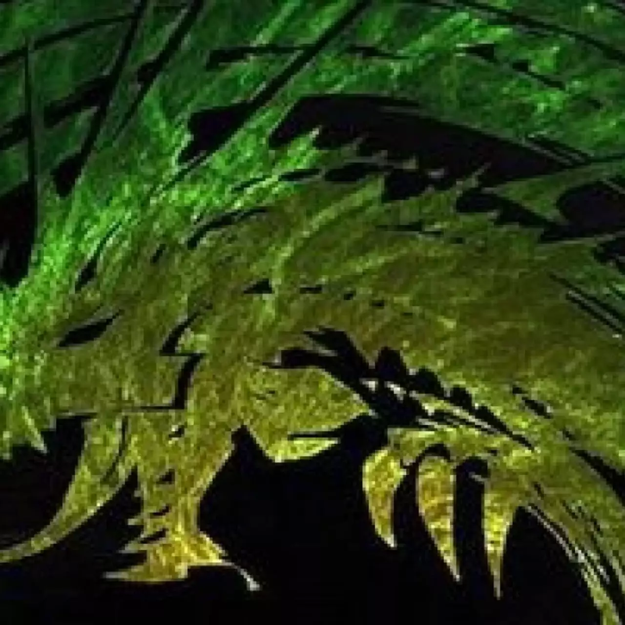 Анонсирован Heart of Thorns — первый аддон к Guild Wars 2 Анонсирован Heart of Thorns — первый аддон к Guild Wars 2