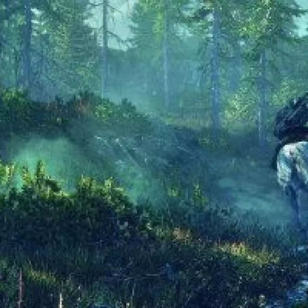 Для Witcher 3 выйдут два крупных дополнения Для Witcher 3 выйдут два крупных дополнения