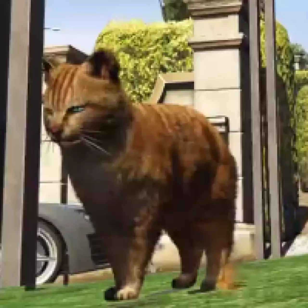 В GTA 5 теперь можно сыграть за кота-убийцу благодаря моду В GTA 5 теперь можно сыграть за кота-убийцу благодаря моду