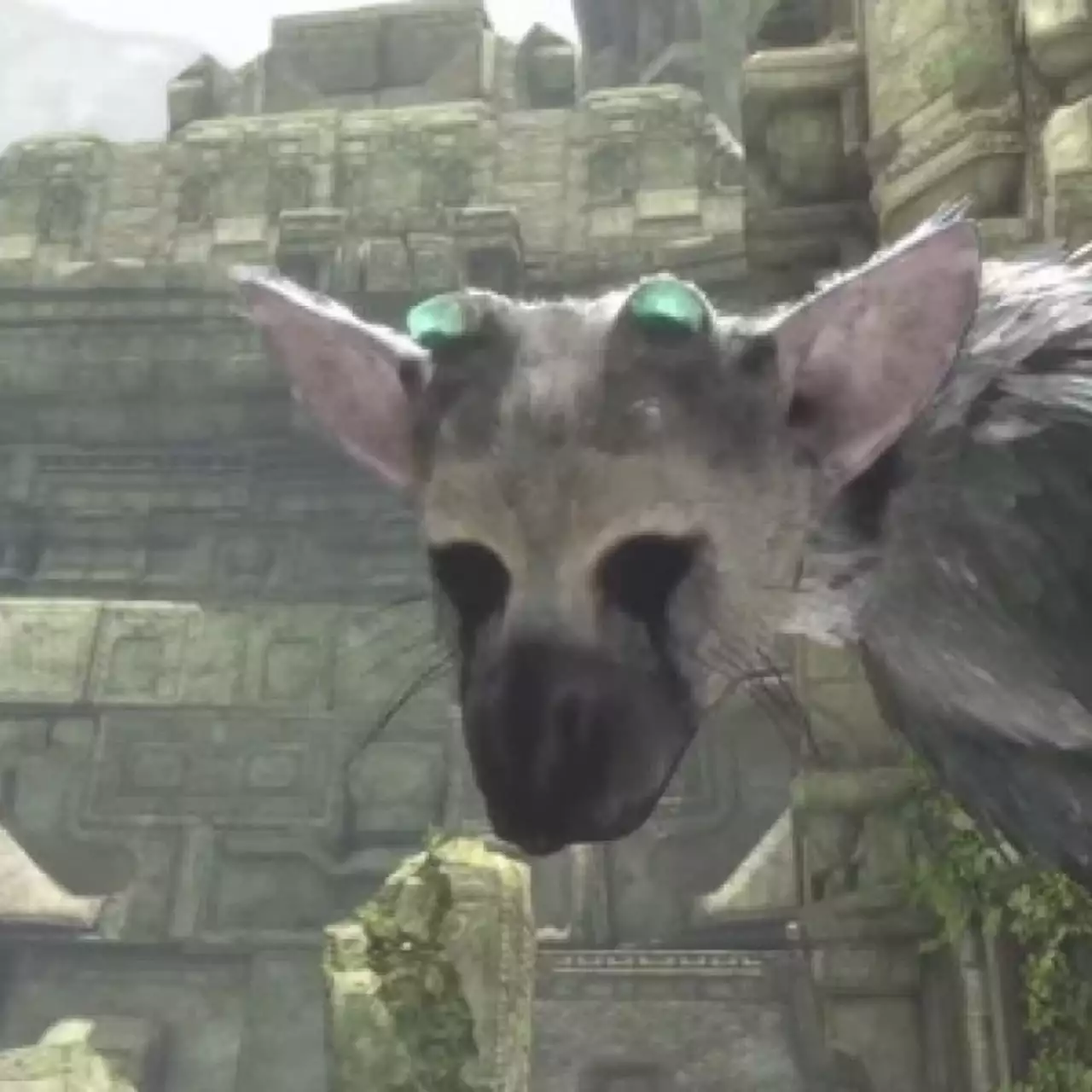 Sony не может гарантировать, что The Last Guardian выйдет в 2016
