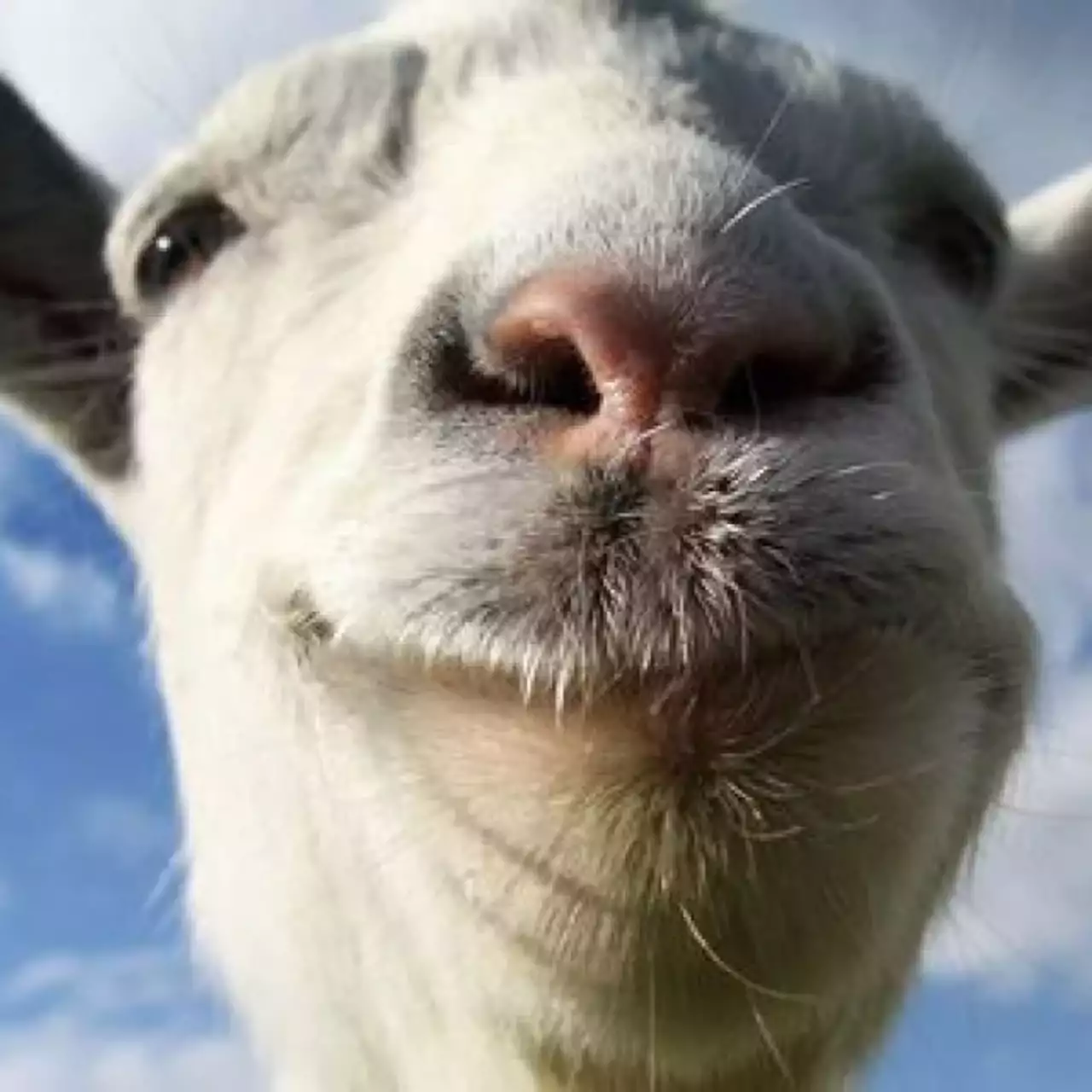 Goat Simulator появится на PlayStation в августе Goat Simulator появится на PlayStation в августе