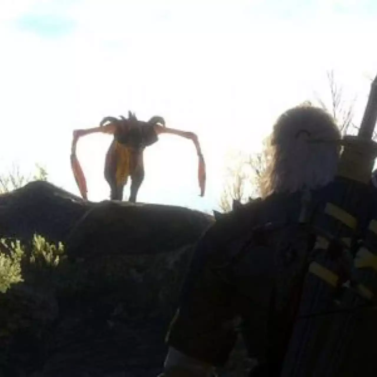 В Witcher 3: Wild Hunt появится режим «Новая игра+» В Witcher 3: Wild Hunt появится режим «Новая игра+»