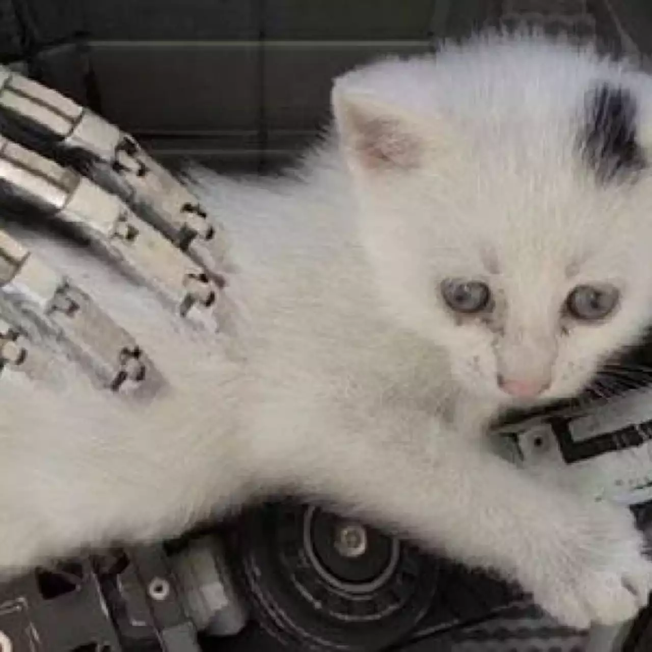 Стала известна дата выхода The Talos Principle на PS4 Стала известна дата выхода The Talos Principle на PS4