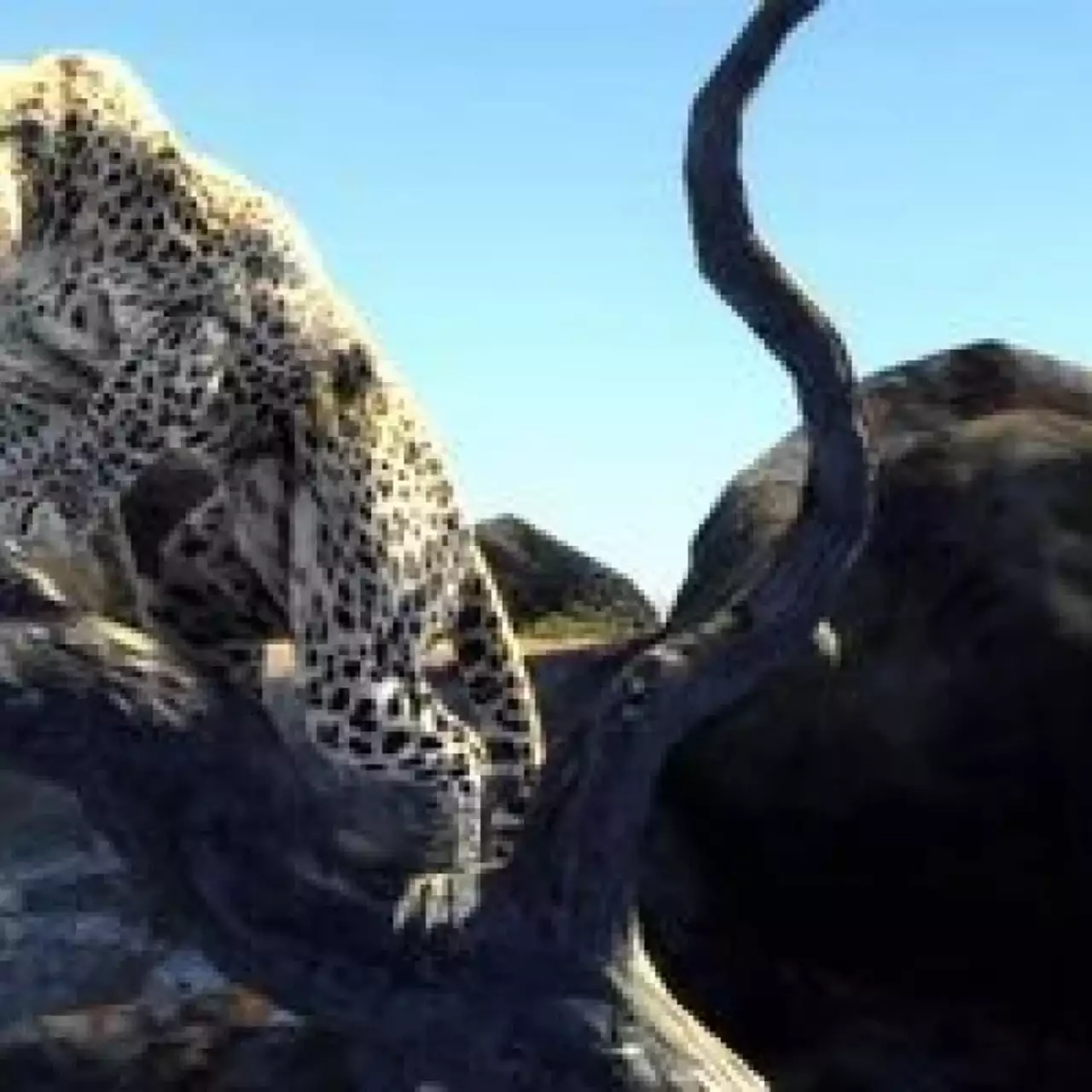 Дата выхода Cabela’s Big Game Hunter 2012