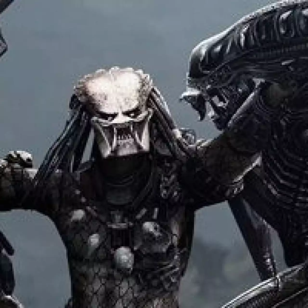 SEGA не работает над Aliens vs Predator 2 SEGA не работает над Aliens vs Predator 2