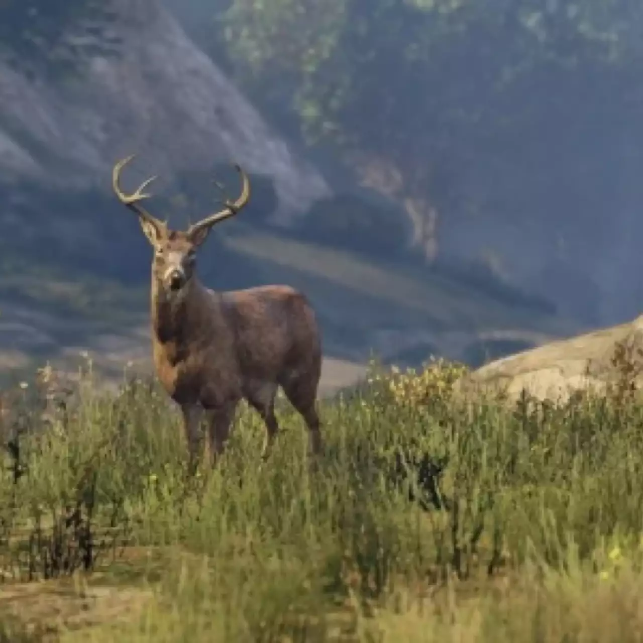 Дикий мир GTA 5 был показан в отличной документальной короткометражке Дикий мир GTA 5 был показан в отличной документальной короткометражке